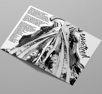 A cover of "Consumerism" cluster. The owner is romeo888. The cluster consists of 2 elements.