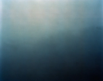 A cover of "Back" cluster. The owner is trufan. The cluster consists of 4 elements.