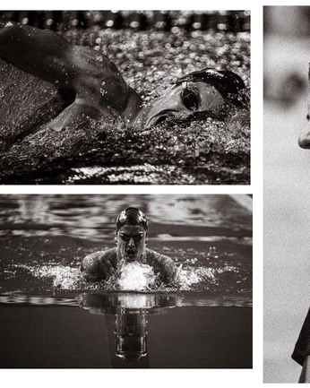 A cover of "SWIMMING" cluster. The owner is luke.kitchin. The cluster consists of 13 elements.