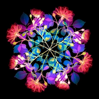 A cover of "Bedouin" cluster. The owner is memoshot. The cluster consists of 6 elements.