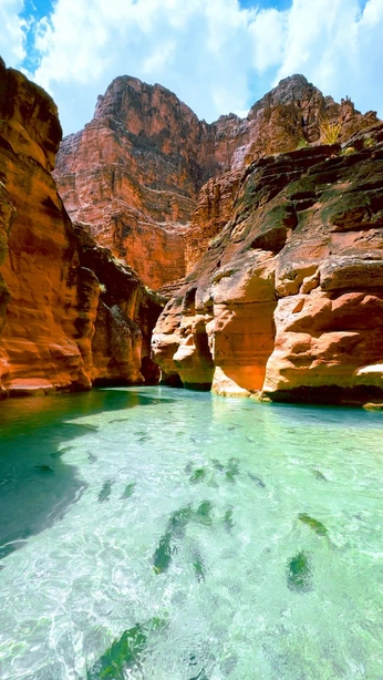 A cover of "Americas" cluster. The owner is wallbridge. The cluster consists of 2 elements.