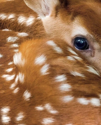 A cover of "me fr" cluster. The owner is groosha. The cluster consists of 15 elements.