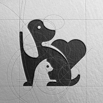 A cover of "ogol" cluster. The owner is rushilshah. The cluster consists of 11 elements.