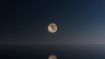 A cover of "november energy" cluster. The owner is ceileens. The cluster consists of 42 elements.