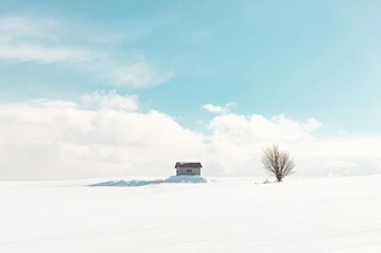 A cover of "Snow" cluster. The owner is jiniref. The cluster consists of 5 elements.