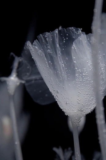 A cover of "photography" cluster. The owner is gabriellex. The cluster consists of 82 elements.