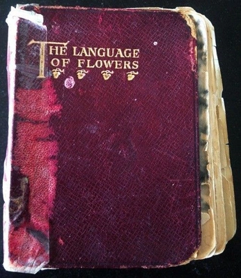A cover of "Flower language" cluster. The owner is kalithem. The cluster consists of 1 element.