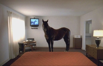 A cover of "VSVR PHOTOSHOOT" cluster. The owner is svenvranjes. The cluster consists of 30 elements.