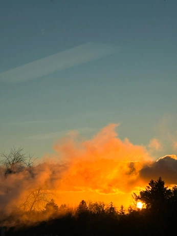 A cover of "nature" cluster. The owner is tiannabell. The cluster consists of 660 elements.