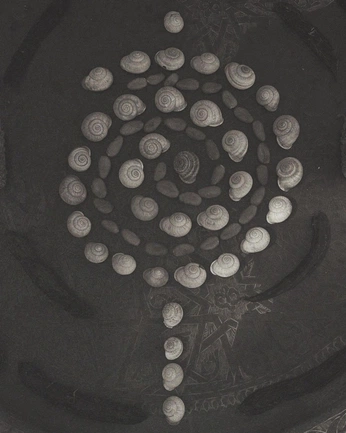 A cover of "Symbios" cluster. The owner is gaiaost. The cluster consists of 60 elements.