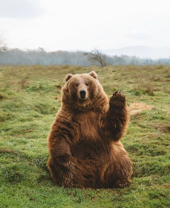 A cover of "Nature" cluster. The owner is arwynartistries. The cluster consists of 1 element.