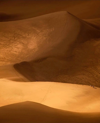 A cover of "Dune" cluster. The owner is vanellimel. The cluster consists of 2 elements.