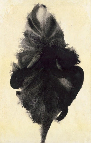 A cover of "figuración/bocetos" cluster. The owner is metamorfosis. The cluster consists of 1 element.