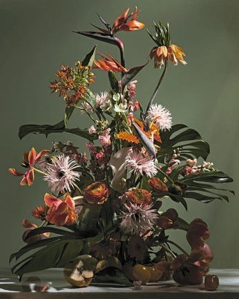 A cover of "interflora" cluster. The owner is guardaconsumo. The cluster consists of 5 elements.