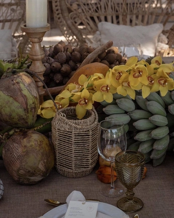 A cover of "the tropical" cluster. The owner is vicolmenarez. The cluster consists of 9 elements.