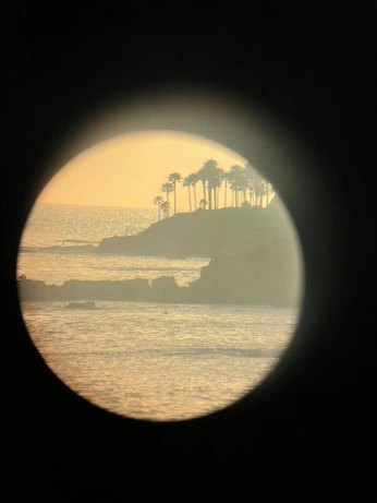 A cover of "PM26" cluster. The owner is shelbsivey. The cluster consists of 4 elements.