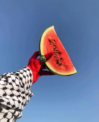 A cover of "palestine" cluster. The owner is laiaax. The cluster consists of 3 elements.