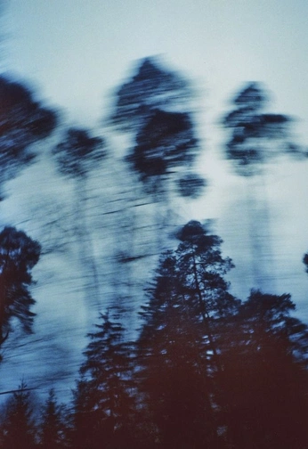 A cover of "C3B1" cluster. The owner is dinullakalila. The cluster consists of 1 element.