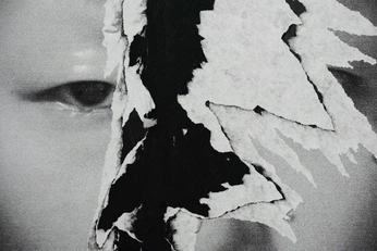 A cover of "Bini" cluster. The owner is carolinacatt. The cluster consists of 68 elements.