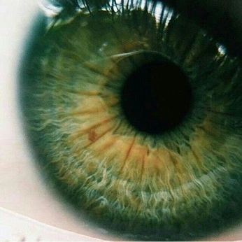 A cover of "Grün vor Neid" cluster. The owner is carlydusty. The cluster consists of 24 elements.