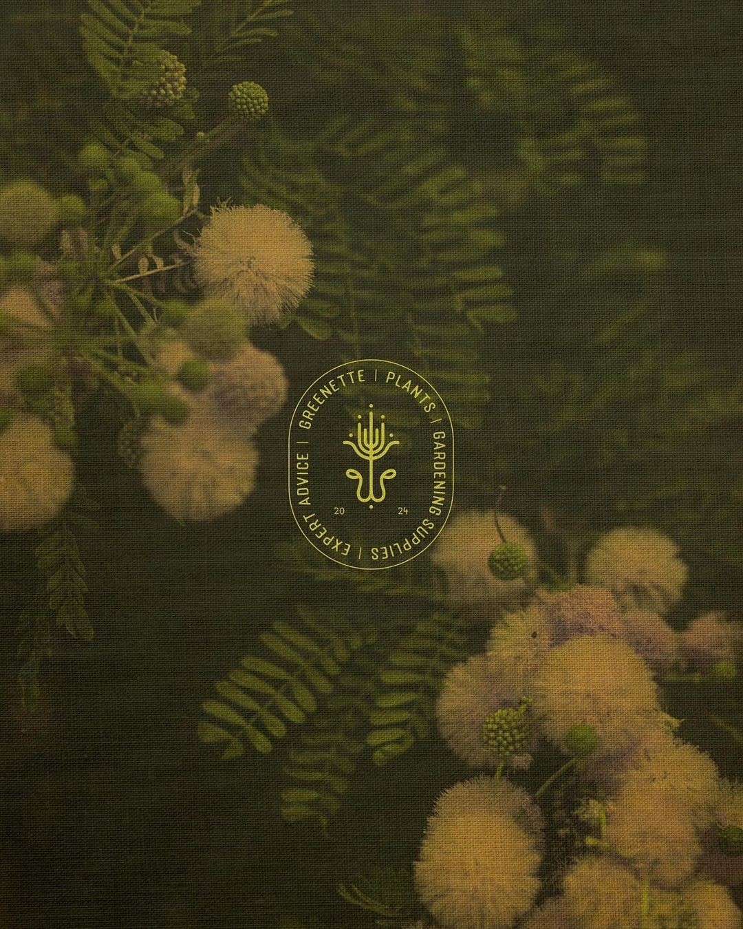 An Instagram carousel post added by 6 on Oct 31, 2024. The author is @designerbriefs.