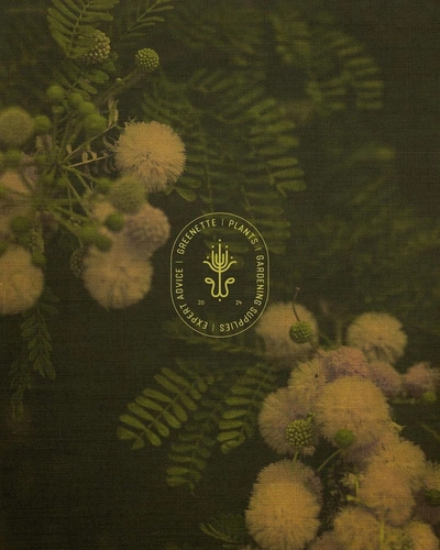 An Instagram carousel post added by 6 on Oct 31, 2024. The author is @designerbriefs.