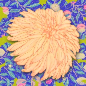 Stephen Hayhurst avatar