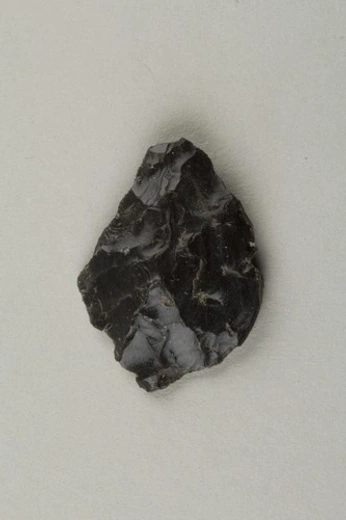 A cover of "Substance" cluster. The owner is emilywhite. The cluster consists of 11 elements.