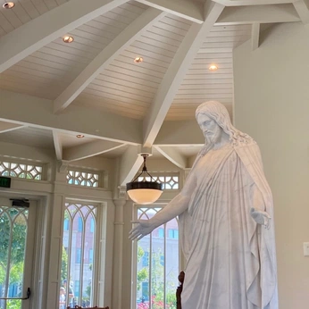 A cover of "Revelation & Guidance" cluster. The owner is teganbailey. The cluster consists of 20 elements.