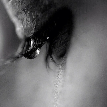 A cover of "emotions" cluster. The owner is aaabbbcccdddeee. The cluster consists of 19 elements.