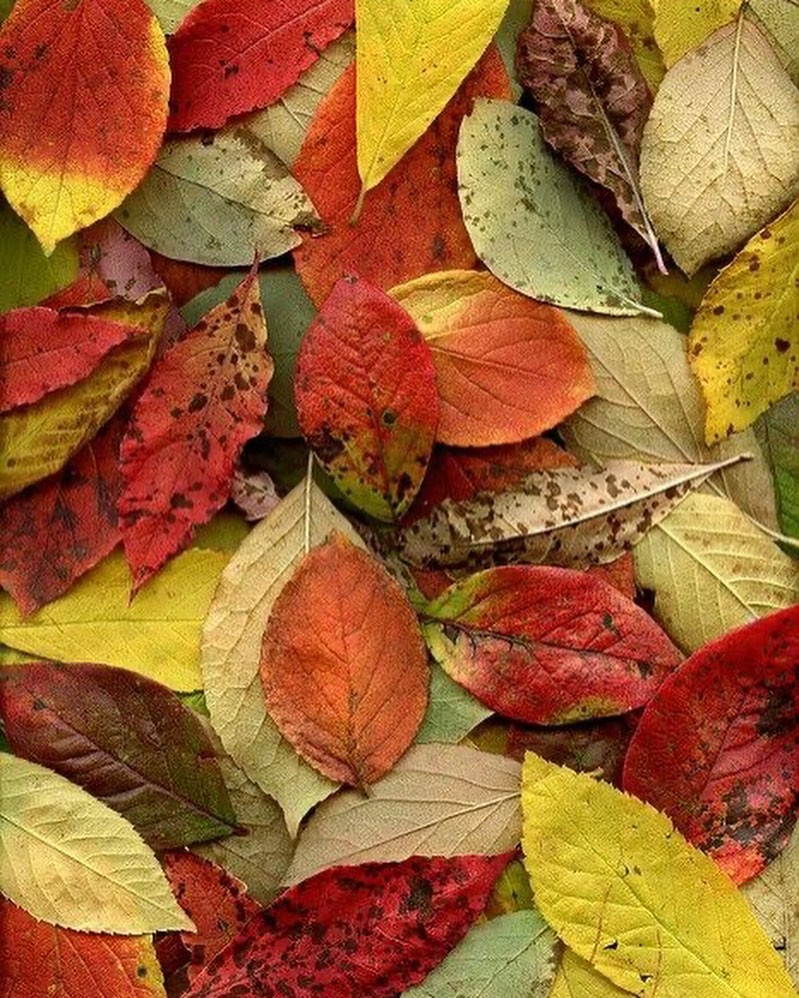 An Instagram carousel post added by bejud on Jan 17, 2024. The author is @lesothers.