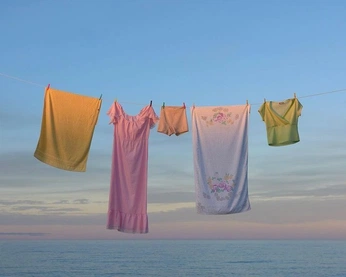 A cover of "Bloome" cluster. The owner is bluecheese210. The cluster consists of 995 elements.