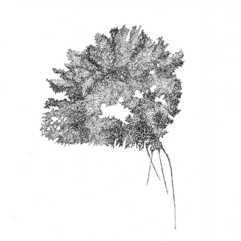 A cover of "SKETCH" cluster. The owner is cb.93. The cluster consists of 3 elements.