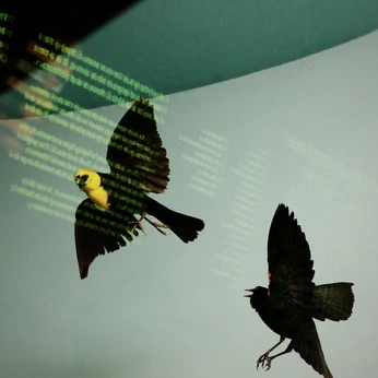 A cover of "memories" cluster. The owner is vdowns. The cluster consists of 5 elements.