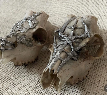 A cover of "taxidermy ?? 🎀⛓️" cluster. The owner is bloomiellefiles. The cluster consists of 7 elements.