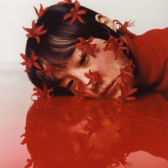 A cover of "Artist Campaigns" cluster. The owner is ultranubian. The cluster consists of 25 elements.