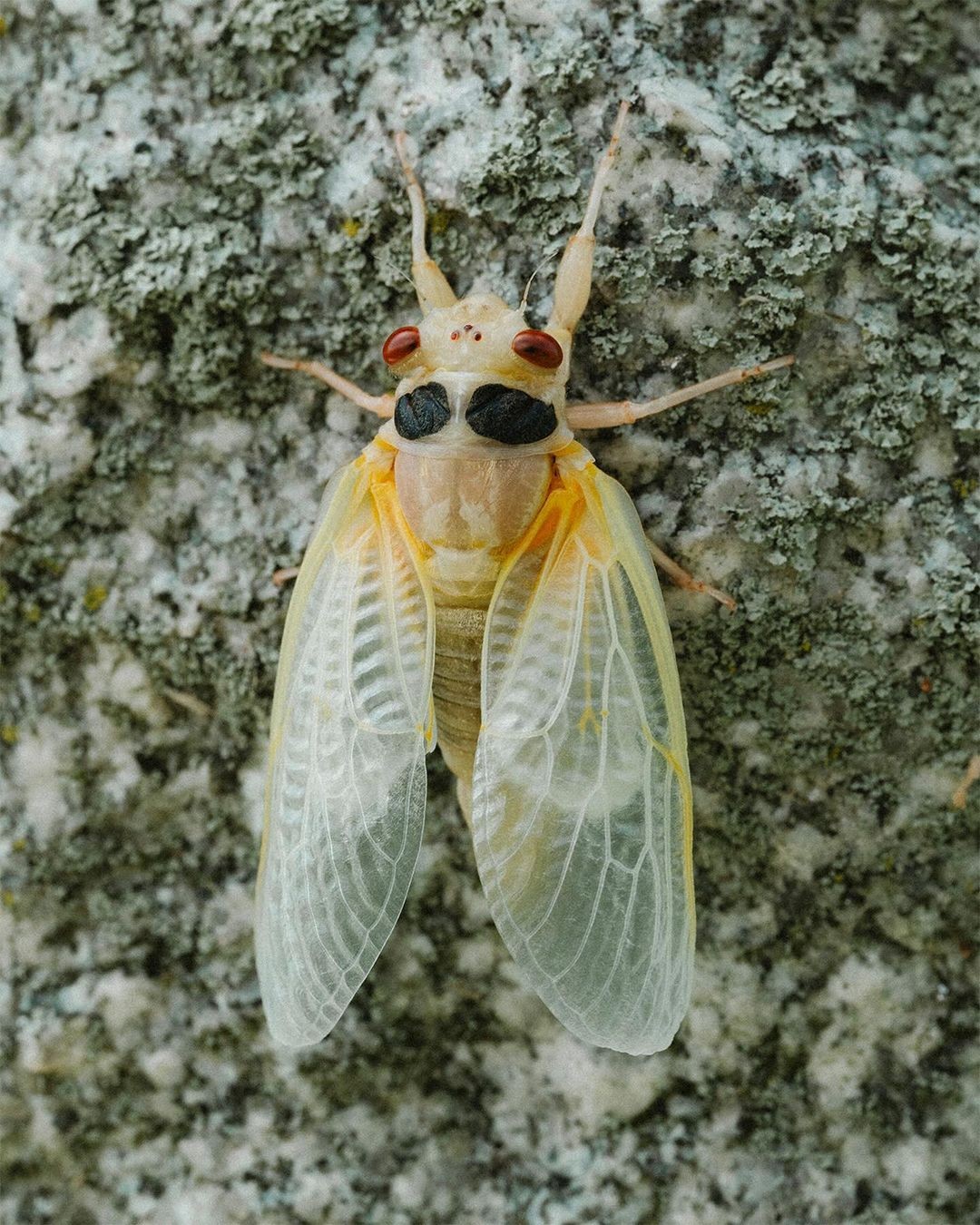 An Instagram carousel post added by aethereal.itf on Jun 05, 2024. The author is @atmos.