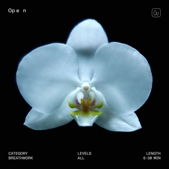 A cover of "fotografias" cluster. The owner is petterdi. The cluster consists of 8 elements.