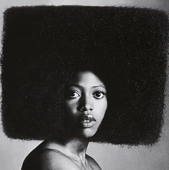 A cover of "Afro Futurism" cluster. The owner is elothesource. The cluster consists of 18 elements.