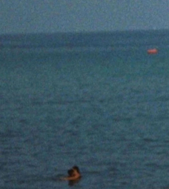 A cover of "turn me like a beast" cluster. The owner is flowersforp. The cluster consists of 13 elements.