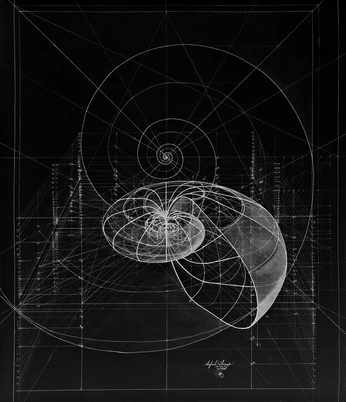 A cover of "Giramos en espirales" cluster. The owner is lmrojasolarte. The cluster consists of 18 elements.