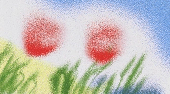 A cover of "Animation" cluster. The owner is zkar.tt. The cluster consists of 4 elements.