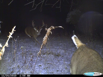 A cover of "nature" cluster. The owner is yuckqr. The cluster consists of 1 element.