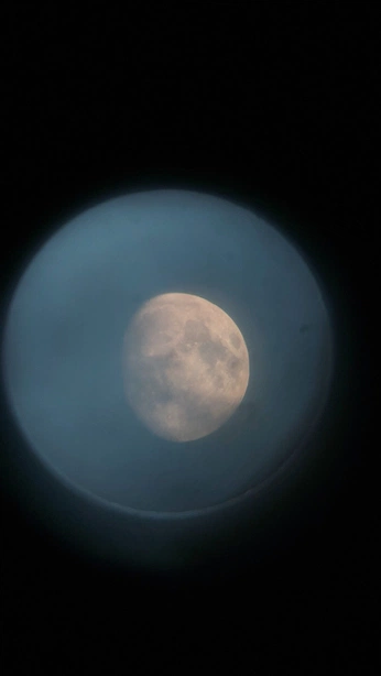 A cover of "Maison Nocturne" cluster. The owner is bumblebeetights. The cluster consists of 42 elements.