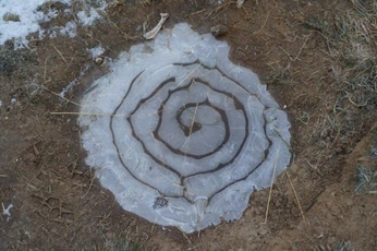 A cover of "espirales" cluster. The owner is eivrde. The cluster consists of 16 elements.