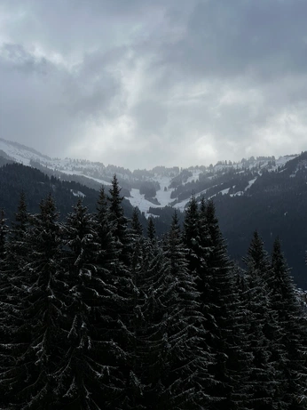 A cover of "Life Vision Board" cluster. The owner is matteuspekkanen. The cluster consists of 14 elements.