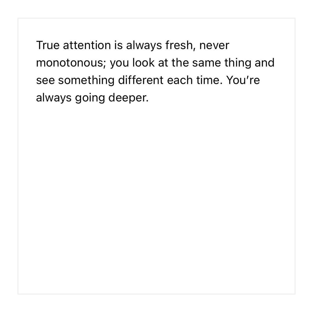 Quote from the collection my internet by Rozina Aamir.