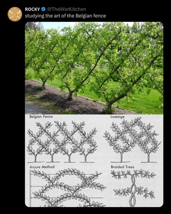A cover of "cobb salad" cluster. The owner is theloni. The cluster consists of 1 element.