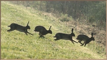 A cover of "art references" cluster. The owner is kate2147. The cluster consists of 90 elements.