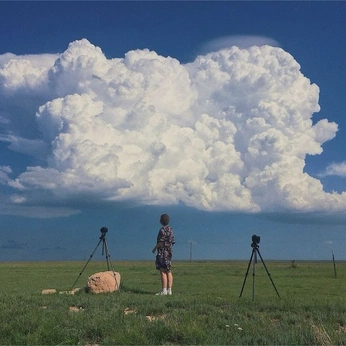 A cover of "sweet tea in the summer" cluster. The owner is yourivygrows. The cluster consists of 15 elements.
